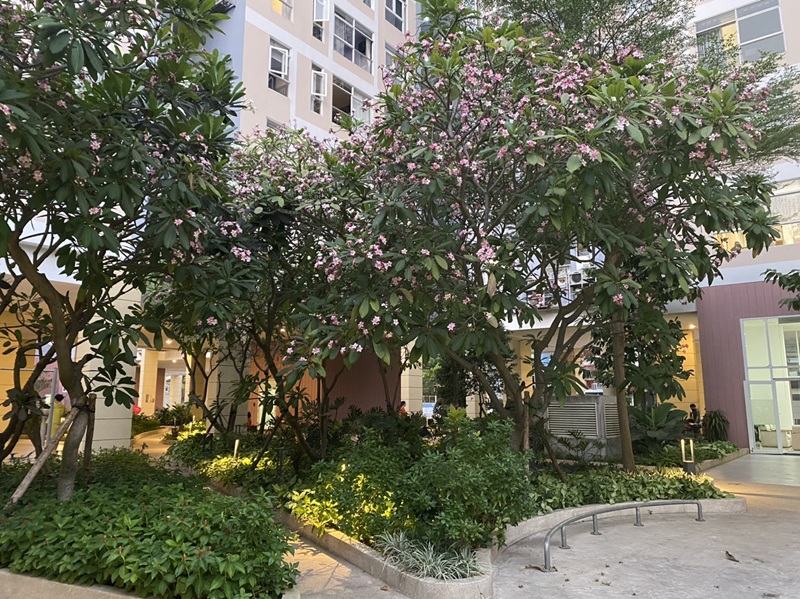 Cảnh quan bên trong valeo đầm sen